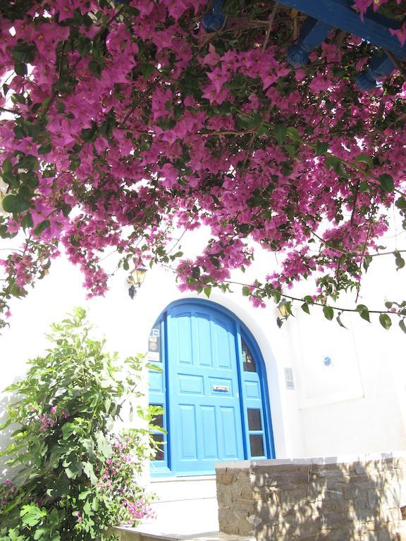 Angelina Studios Páros Exteriör bild